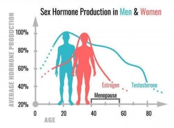 Quais são as funções dos hormônios sexuais?