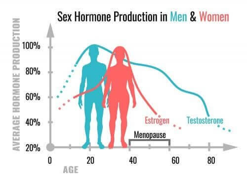 Hormônios Sexuais Conheça Suas Funções Melhor Com Saúde 9111