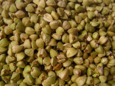 O trigo mourisco é uma boa alternativa aos cereais com glúten.