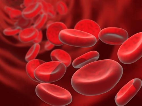 Qual a melhor dieta para anemia ferropênica