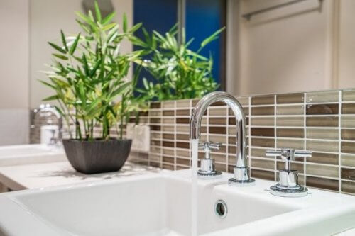 O bambu está entre as melhores plantas para o banheiro