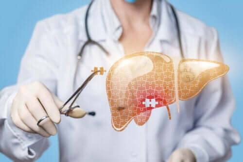 Conheça algumas doenças do fígado