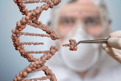 Desvendando o DNA humano