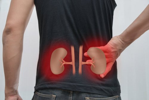 Insuficiência renal