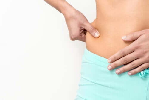 Inflamação celular e obesidade