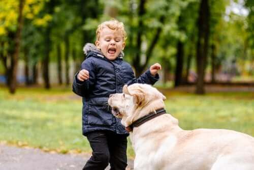 Menino com medo de cachorro