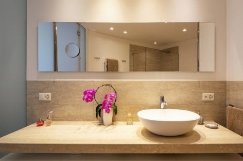 As orquídeas são ideais para ambientes com pouca luz