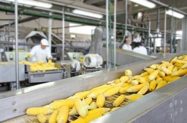 Influência dos processos tecnológicos no valor nutricional dos alimentos