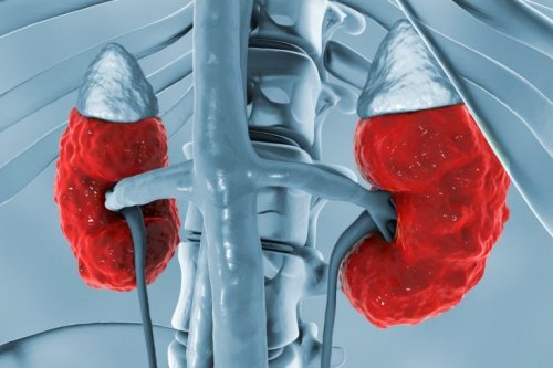 Doença renal