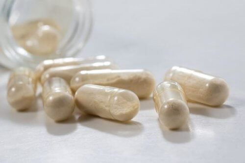 Suplementos de probióticos