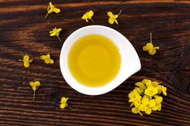 Tudo que você precisa saber sobre o óleo de canola