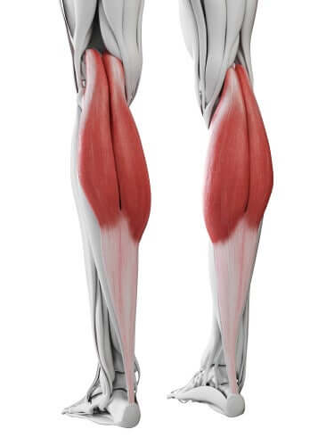 Panturrilhas