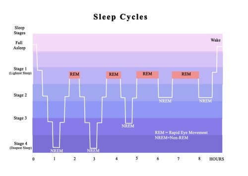 Relação entre o transtorno de insônia com os ciclos do sono