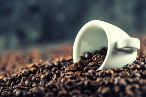 Café em grãos
