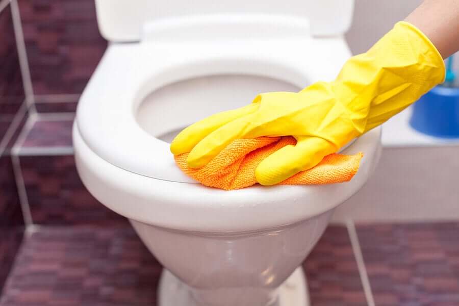 Recomendações finais para a limpeza