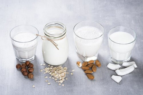 Tipos de leites vegetais