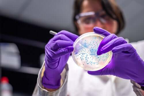 Mulher em um laboratório