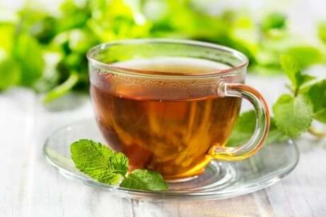Infusão de hortelã-pimenta para acalmar a indigestão