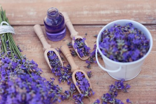 5 remédios relaxantes com lavanda