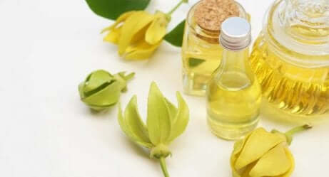 Ylang ylang