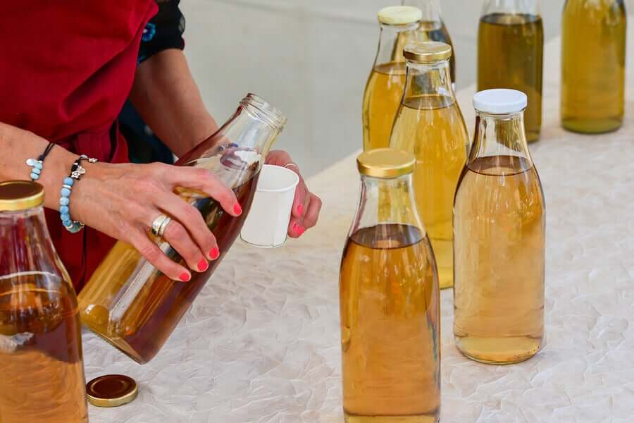 Características e riscos do kombucha