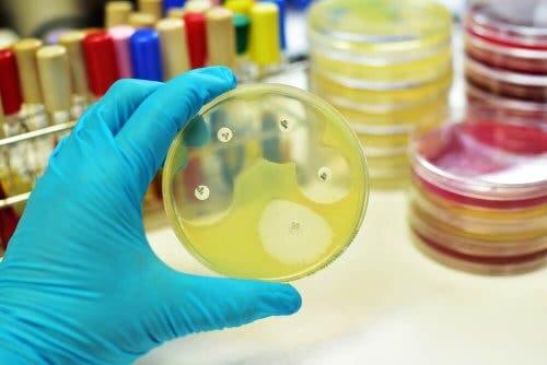 Cepas resistentes a antibióticos