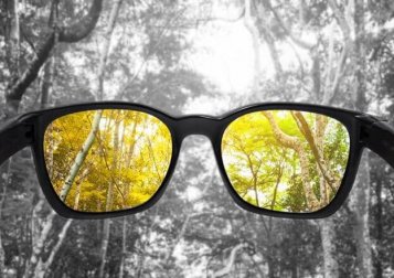 Causas do daltonismo