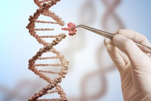 Mutação genética no DNA