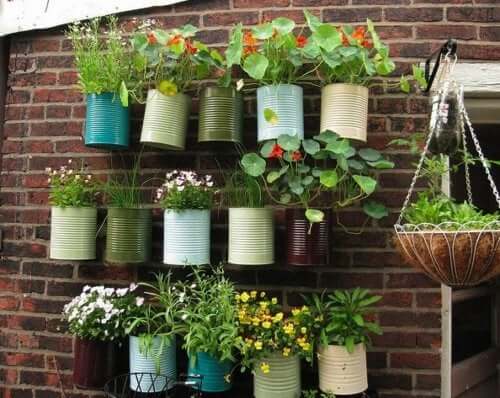 Horta vertical