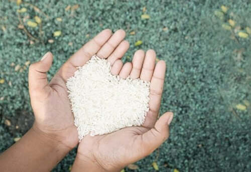 Mãos segurando arroz