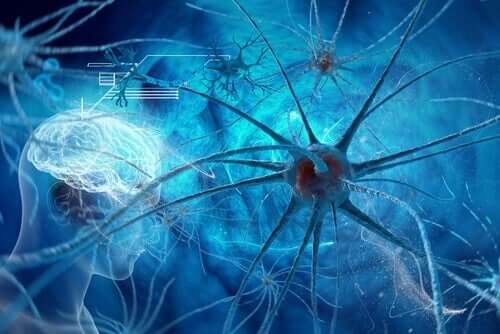 Neurônios cerebrais