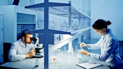 Pesquisadores trabalhando em laboratório