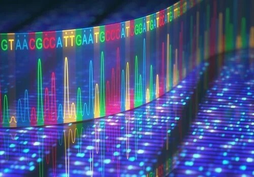 Transcrição de RNA
