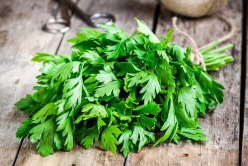 Salsa fresca