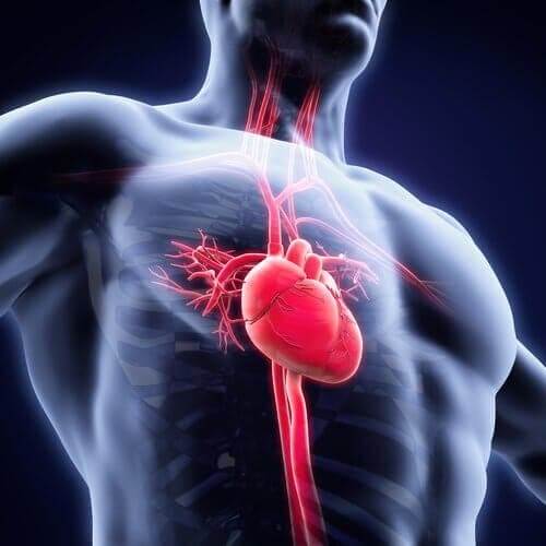 Astenia cardiovascular