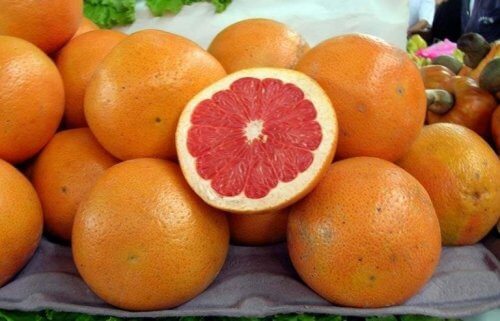 Toranja