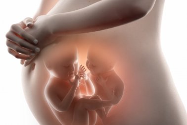 Tudo que você precisa saber sobre o fetus in fetu