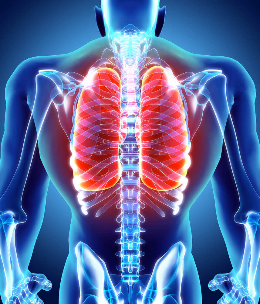 Saúde pulmonar