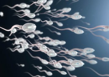 Astenozoospermia: o que é e como detectá-la?