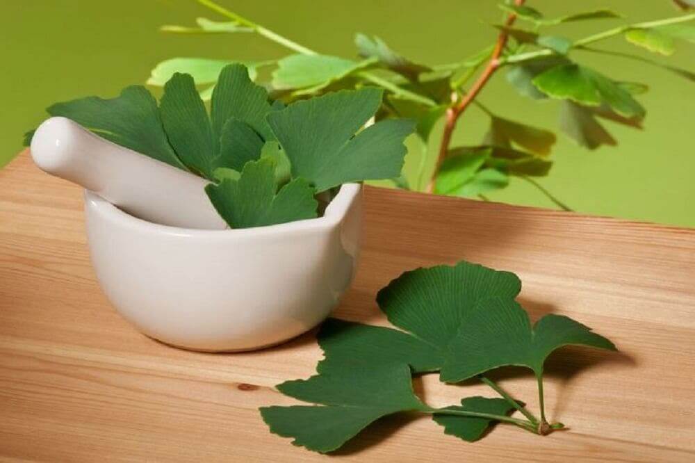 Ervas medicinais