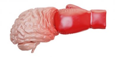 O que é o traumatismo cranioencefálico?