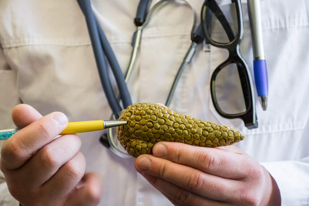 Pâncreas e insulina