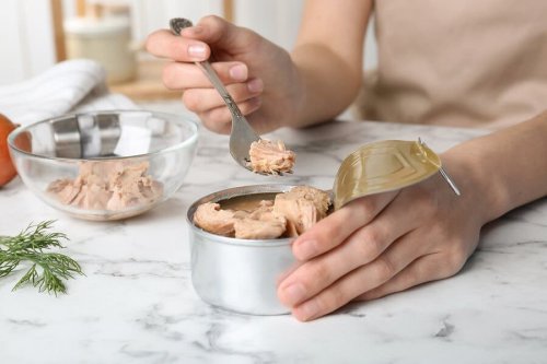 Receitas com uma lata de atum