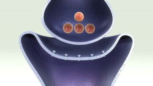 Diagnóstico da distonia infantil