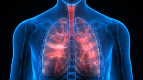 Saúde pulmonar