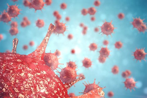 Como o sistema imunológico trata infecções virais