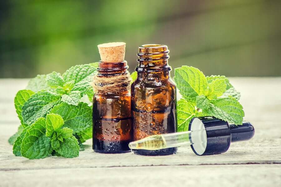 Tratamento com alecrim e urtiga para o cabelo