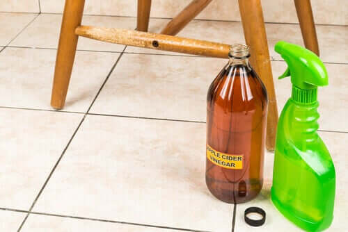 Limpeza com produtos naturais