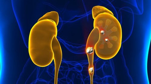 Saúde renal
