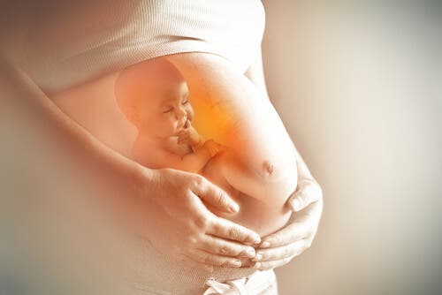 Saúde intestinal das gestantes influencia o cérebro do futuro bebê